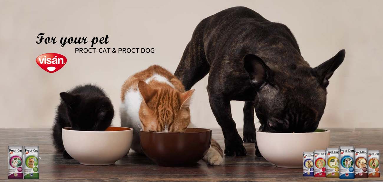 Kedi-Köpek Mamaları